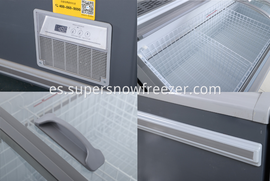 details of freezer1